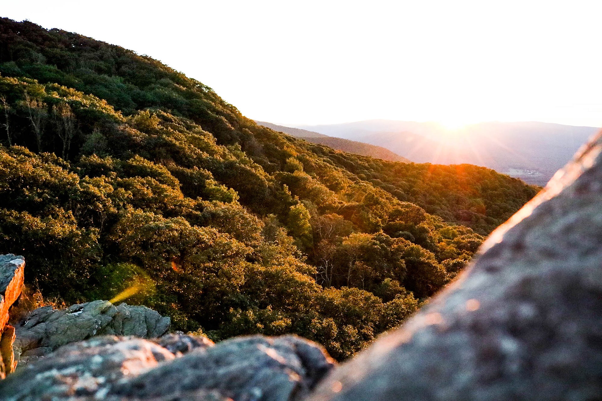 The Best Time to Visit the Blue Ridge Mountains