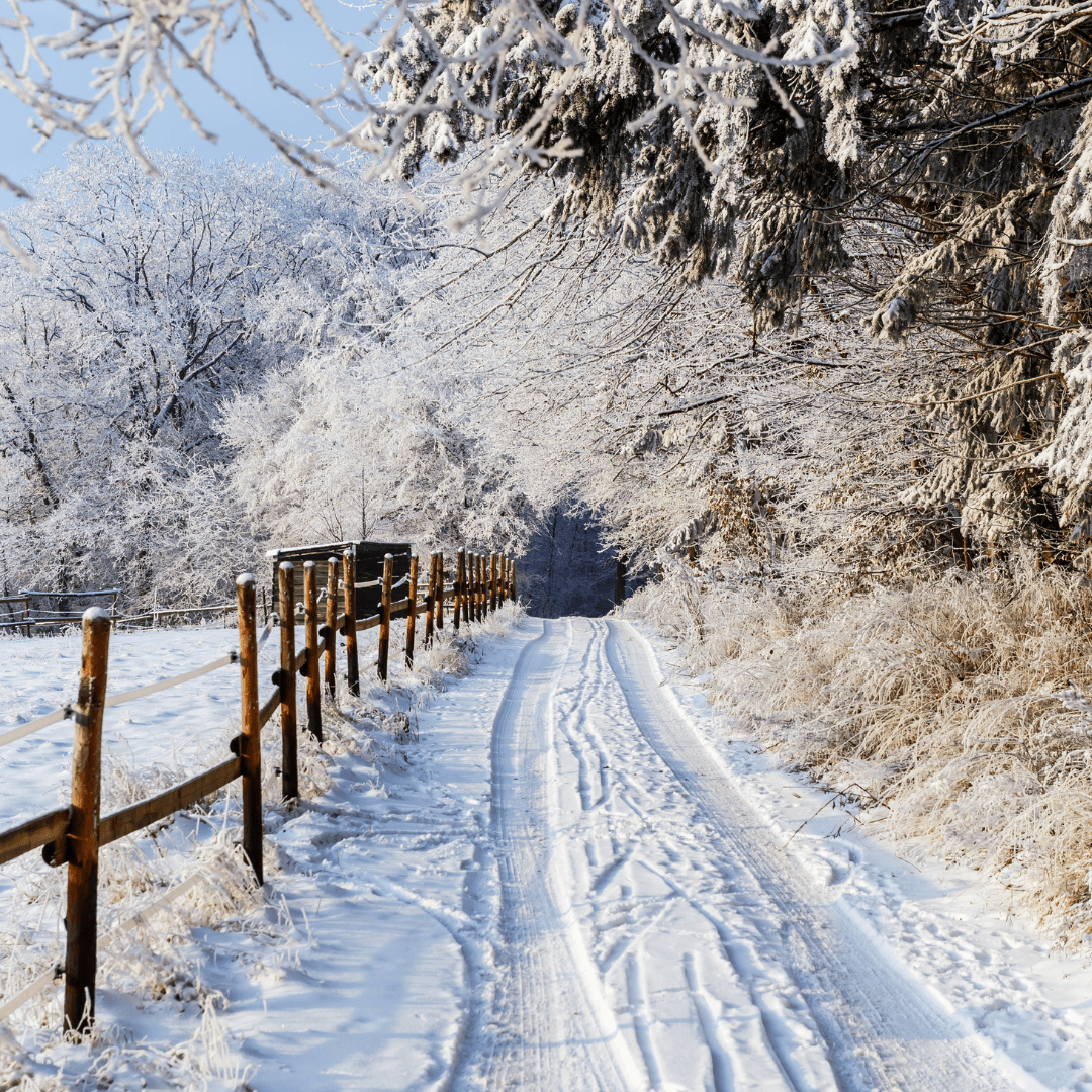 Top 10 winter activities to do in the Blue Ridge Mountains